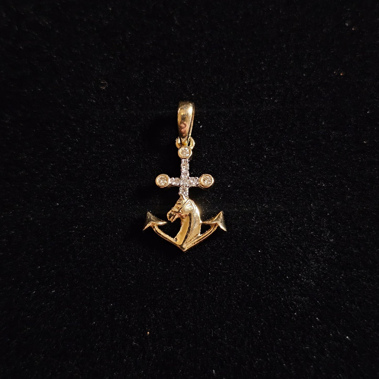10k W/ Diamond Anchor Horse