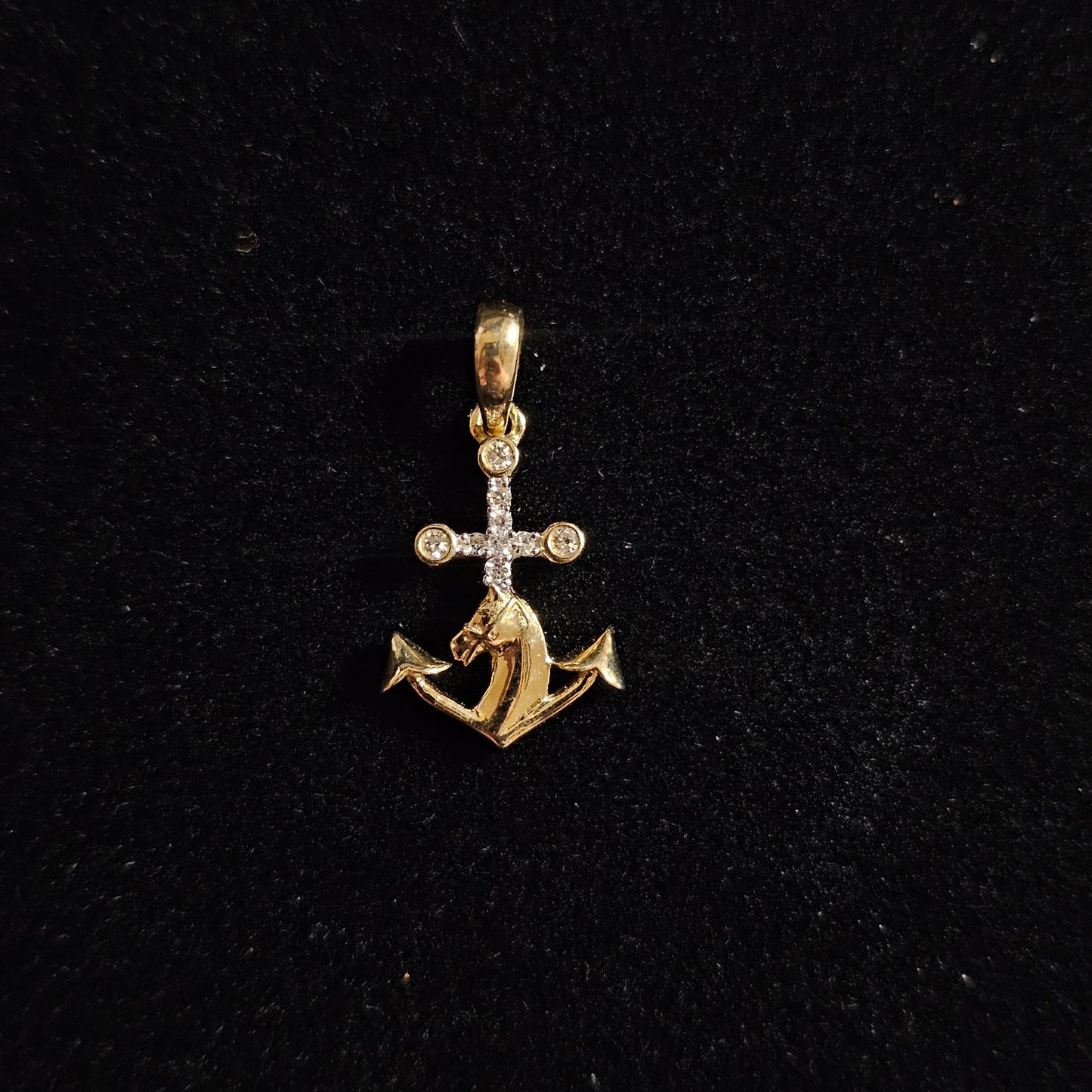 10k W/ Diamond Anchor Horse